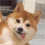 two小白的个人资料头像