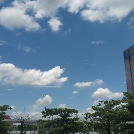 吕氏春秋于2020-06-03 12:10发布的图片