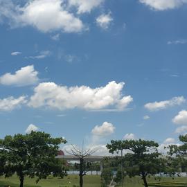 吕氏春秋于2020-06-03 12:10发布的图片