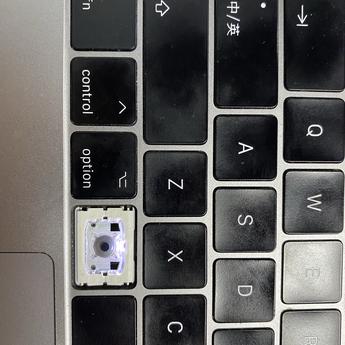 一个__小白于2020-06-03 13:50发布的图片