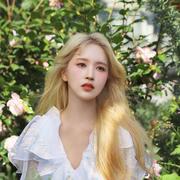 scvem的个人资料头像