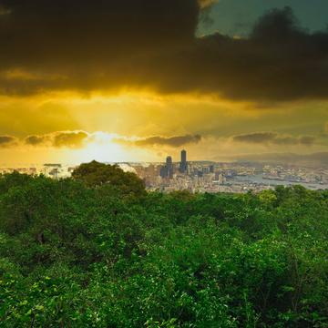 襄垣于2020-06-03 16:08发布的图片