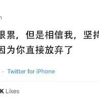 皮皮茶于2020-06-30 14:45发布的图片