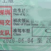 咖啡店看见的那只狗于2020-06-30 16:05发布的图片