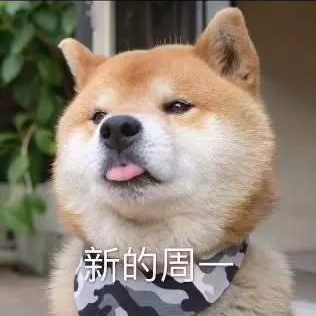一只鱼呀于2020-06-05 09:17发布的图片