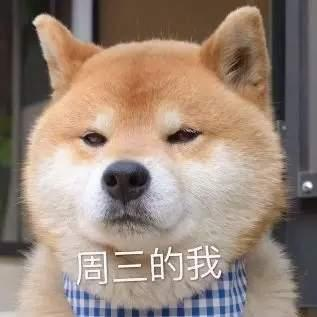 一只鱼呀于2020-06-05 09:17发布的图片