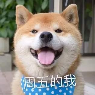 一只鱼呀于2020-06-05 09:17发布的图片