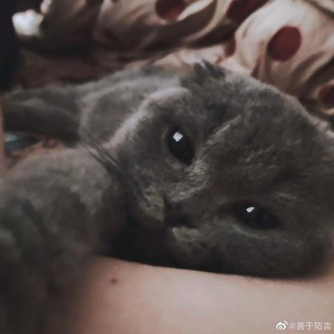 樊亦凡于2020-06-05 09:59发布的图片
