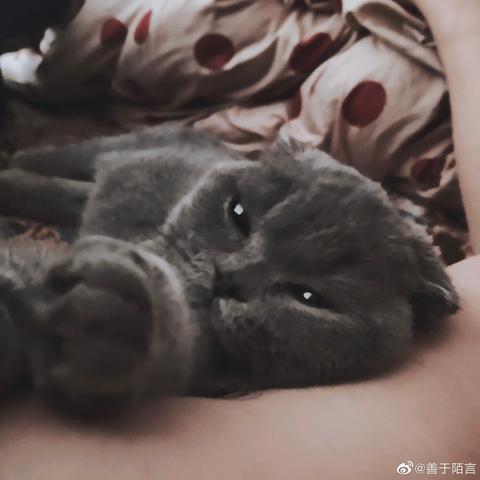 樊亦凡于2020-06-05 09:59发布的图片