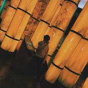 好人同学的个人资料头像