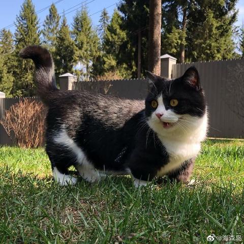 喵秒喵于2020-06-05 10:57发布的图片