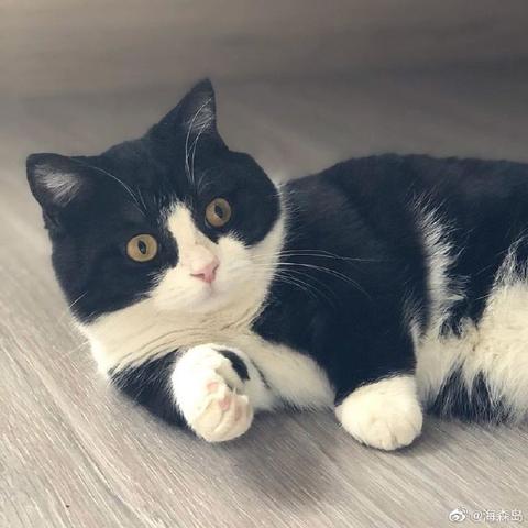 喵秒喵于2020-06-05 10:57发布的图片