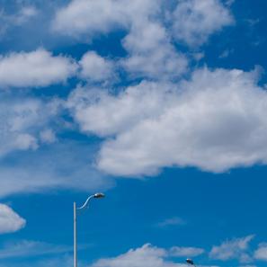 xxxL于2020-06-05 16:58发布的图片