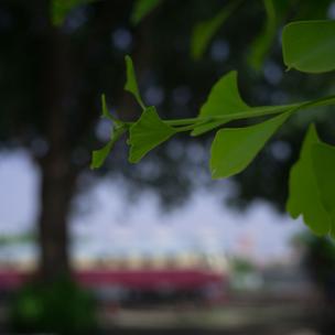 xxxL于2020-06-05 16:58发布的图片