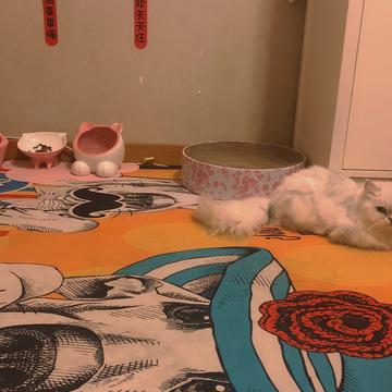 Monkeybro于2020-06-05 18:15发布的图片