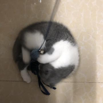 Yumcc于2020-06-05 21:09发布的图片