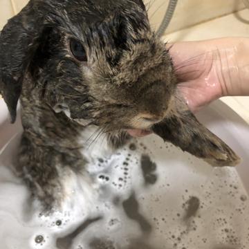 漆黑的呆桃于2020-06-07 02:15发布的图片