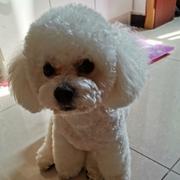 北的个人资料头像