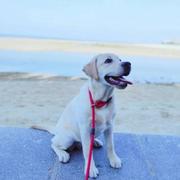 BLUE_FAT的个人资料头像