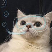 咕嘟嘟咕孤独嘟咕噜的个人资料头像