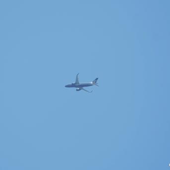 CAN1177于2020-06-08 12:24发布的图片