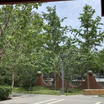 赛博Cookie于2020-06-08 12:50发布的图片