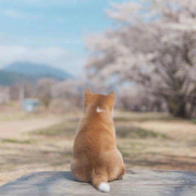 Tele的个人资料头像