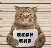 我在摸鱼_我有罪的个人资料头像