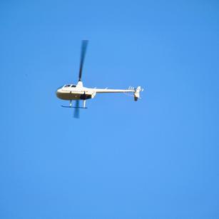 十里八乡有名de俊后生于2020-06-09 10:13发布的图片