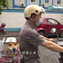 娱乐小编于2020-06-09 10:34发布的图片
