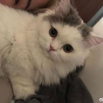喵秒喵于2020-06-09 14:43发布的图片
