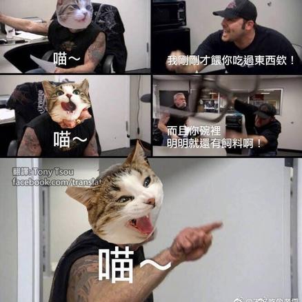 喵秒喵于2020-06-09 20:56发布的图片
