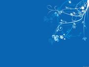 wenchaosky的个人资料头像