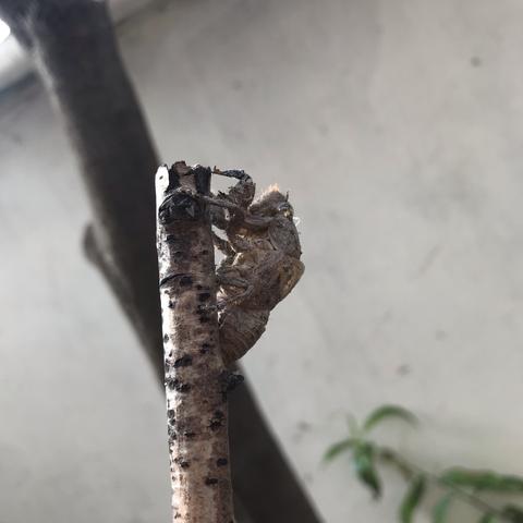 此处空字符串于2020-07-01 09:30发布的图片