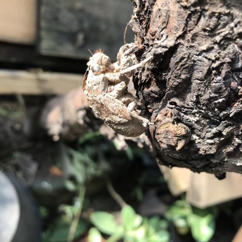 此处空字符串于2020-07-01 09:30发布的图片