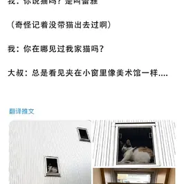 喵秒喵于2020-07-01 11:46发布的图片