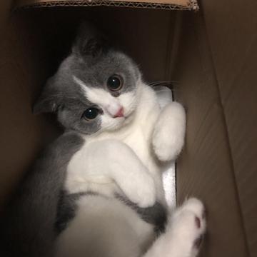 亦心l于2020-07-01 11:44发布的图片