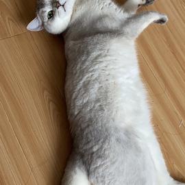 Zzx子璇于2020-07-01 14:53发布的图片