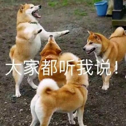 已注销于2020-07-01 19:08发布的图片