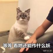 _Ace_的个人资料头像