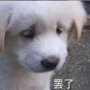 anyidehouzi的个人资料头像