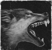 废裂罗的个人资料头像