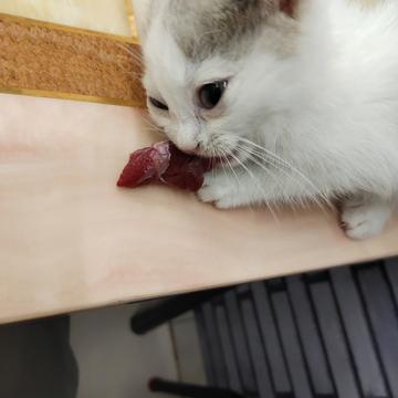 红叶寄相思于2020-07-11 20:37发布的图片