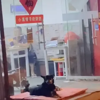 稀土掘金校园官于2020-07-12 14:30发布的图片