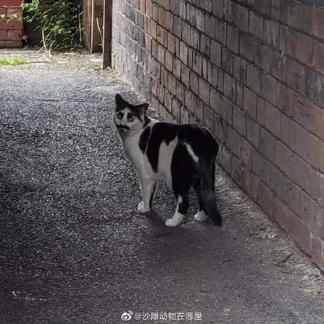 付染于2020-07-12 08:09发布的图片