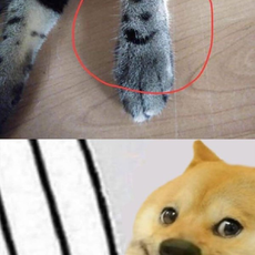 南风以南于2020-07-13 08:58发布的图片