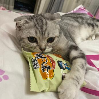 阿斯顿111于2020-07-13 09:08发布的图片