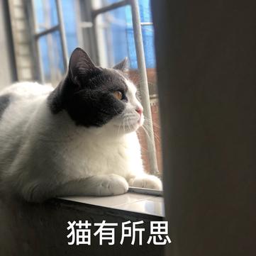 java技术爱好者于2020-07-13 10:21发布的图片