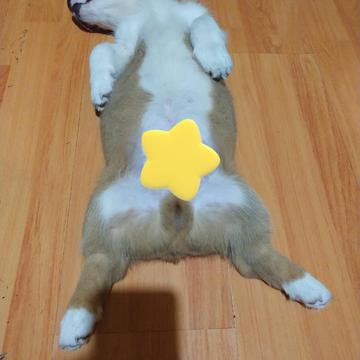 牛肉烧板黎于2020-07-13 02:50发布的图片