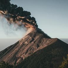 xxxL于2020-07-14 09:11发布的图片